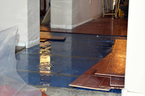 Professional Emergency Water Damage Restoration technician working in Childersburg, AL